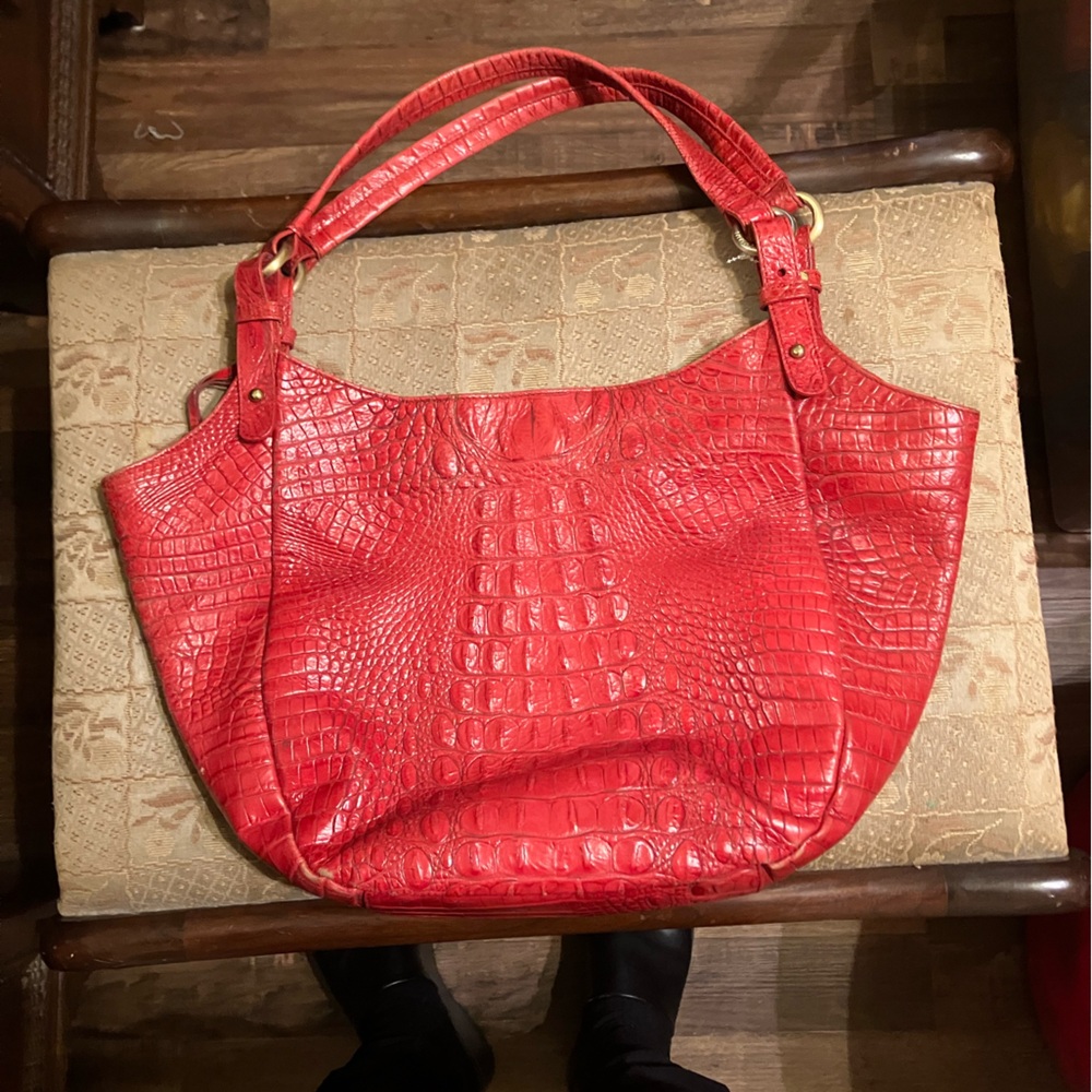 Red Brahmin